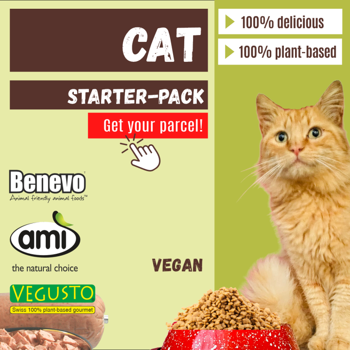 Cat, starter pack