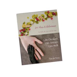 Book: 24 Aha-Erlebnisse (German) • 55 Seiten