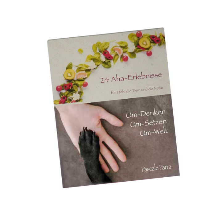 Book: 24 Aha-Erlebnisse (German) • 55 Seiten